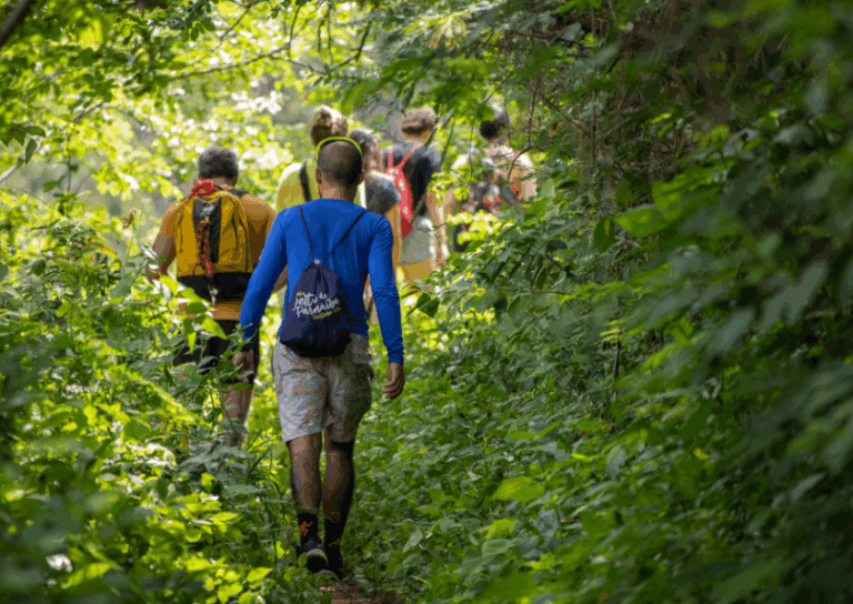 Read more about the article Walk This May – Step Into Better Mental Health