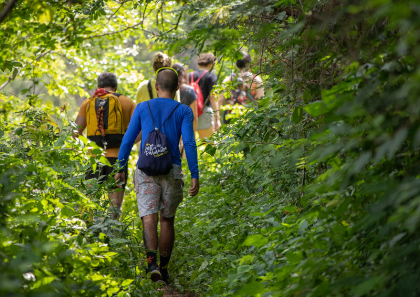 Read more about the article Walk This May – Step Into Better Mental Health